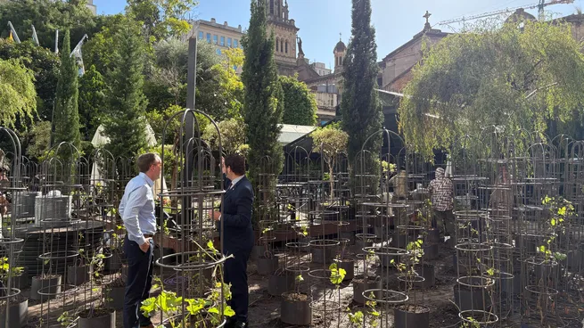 Entrevista a los creadores del primer viñedo urbano de Latinoamérica. “Las botellas serán subastadas con fines solidarios”