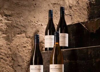 Nace Marantiqua: la nueva línea de vinos patagónicos que emerge de un atiguo mar