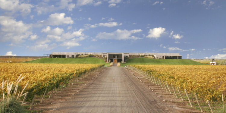 Bodega Malma obtuvo el sello Vitivinicultura Argentina Sostenible