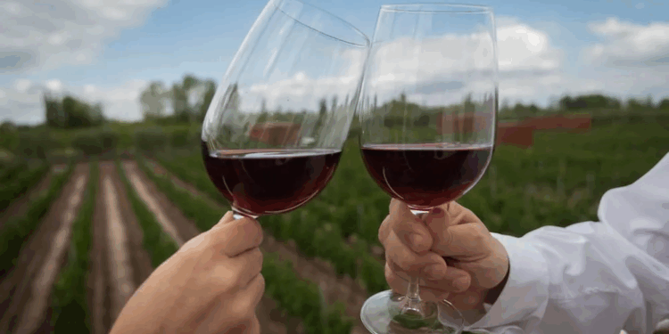 El poder del terroir argentino: los vinos que conquistaron a Robert Parker