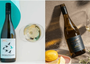 Día del Chardonnay: dos vinos de Bodega Kaiken que reflejan la frescura y elegancia de Mendoza