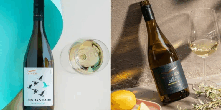 Día del Chardonnay: dos vinos de Bodega Kaiken que reflejan la frescura y elegancia de Mendoza