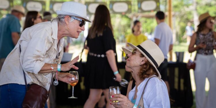 Austria, el secreto mejor guardado del vino europeo, llega a la argentina