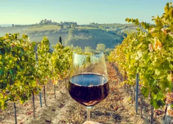 Tomar un vino en la Toscana italiana sale más barato que en la Argentina: precios actualizados a junio 2025