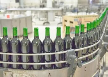 El consumo de vino repunta en Argentina: cuatro meses consecutivos de crecimiento