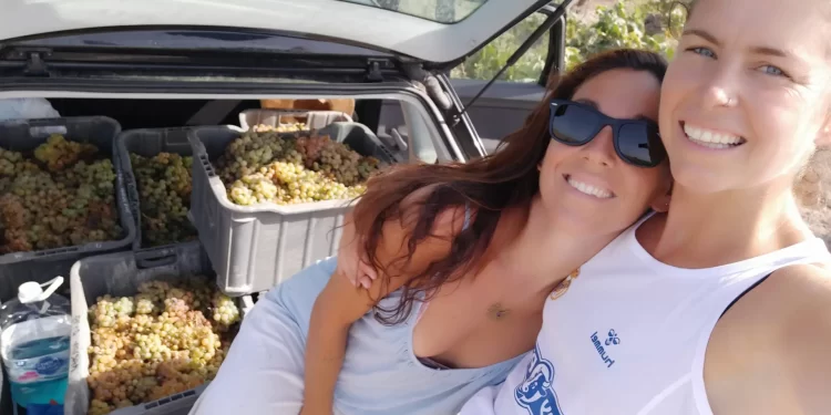El Mundo del Vino Hoy: Mujeres al Frente, Tradiciones que Reviven y una Copa con Jalapeño