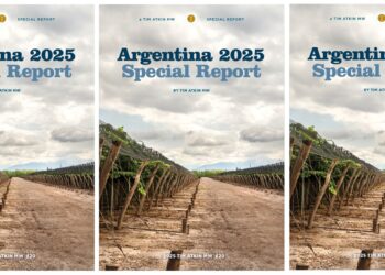 Tim Atkin 2025: todos los premiados y los puntajes más altos