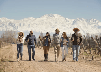 La maniobra de las bodegas para levantar el turismo: ofrecerán visitas gratis