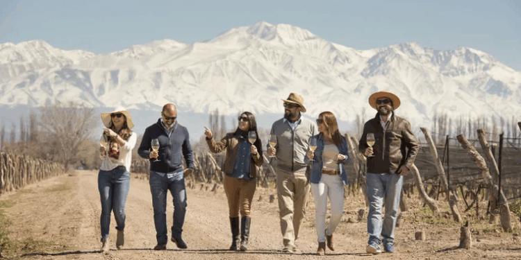 La maniobra de las bodegas para levantar el turismo: ofrecerán visitas gratis