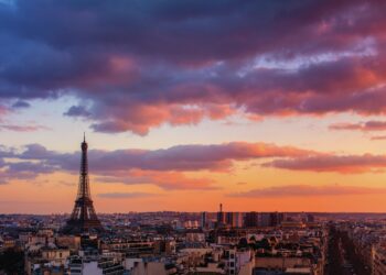 Por qué Francia está cambiando el vino tinto por el blanco?