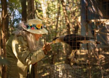 ‘Beba’ Linaro, la argentina que refugió a una decena de animales abandonados por un zoo