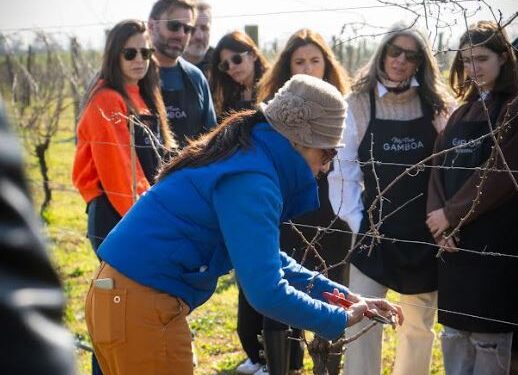 La poda: cuando la experiencia comienza antes del primer racimo