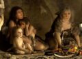 Los diferentes clanes neandertales tenían sus ‘platos estrella’ y entre ellos podría estar la carne podrida con gusanos