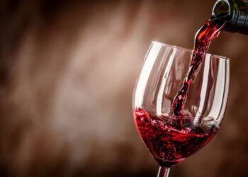 Feriado patrio: este 9 de julio, celebremos con lo mejor del país, el vino argentino