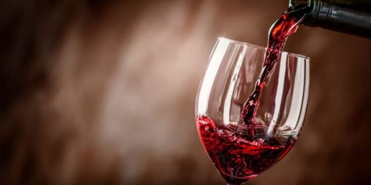 Feriado patrio: este 9 de julio, celebremos con lo mejor del país, el vino argentino