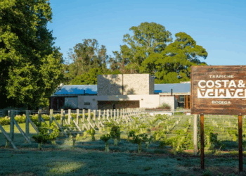 Buenos Aires, capital emergente del enoturismo: del Atlántico al viñedo urbano