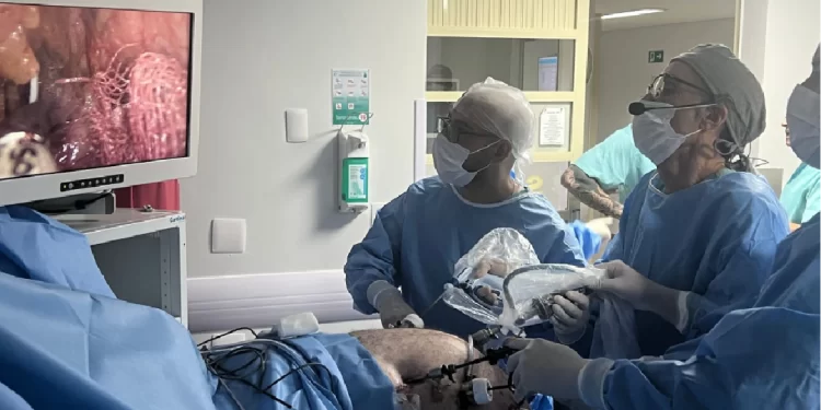 El Sistema de Salud de Malvinas Argentinas participó del Channel Bariatric en Florianópolis y será sede del Congreso en 2026