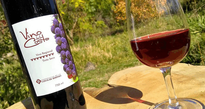 Berisso celebra sus raíces: llega la Fiesta del Vino de la Costa con tradición, música y sabor