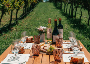 Rutas del vino bonaerense: seis bodegas para visitar en familia estas vacaciones de invierno