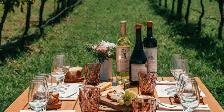 Rutas del vino bonaerense: seis bodegas para visitar en familia estas vacaciones de invierno