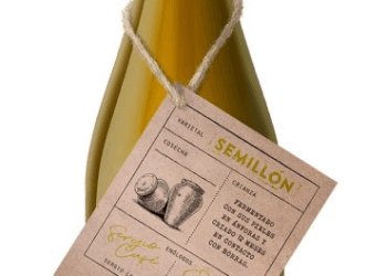 Son tendencia: los vinos Semillón (revolución de los blancos) y Sangiovese (tinto ligero en auge) enamoran nuevas copas como nunca