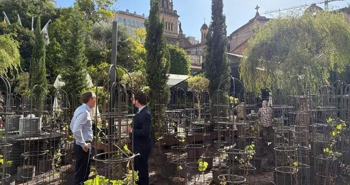 Un hito en el centro porteño: el viñedo urbano de Bodega Gamboa entra en la élite mundial