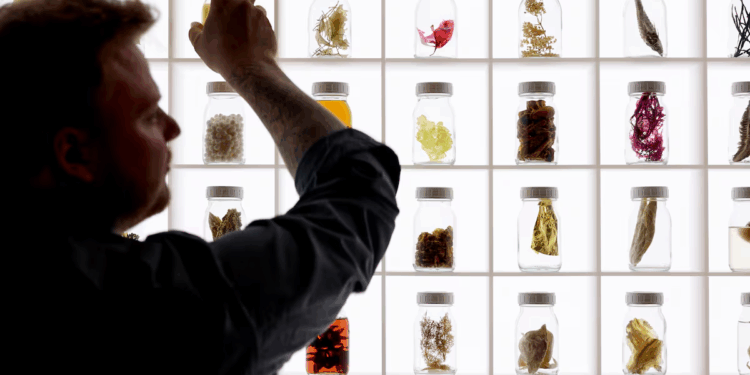 Cuánto cuesta comer en los 50 mejores restaurantes del mundo: el más caro está en Dinamarca y el más barato, en Japón