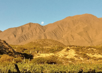 El vino de altura de Tucumán: Rolo Díaz y su bodega Altos La Ciénaga, bajo la mirada crítica de Marcelo Solá