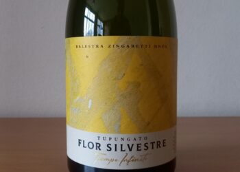 Flor Silvestre Tiempo Infinito Chardonnay 2021: frescura y elegancia desde Tupungato