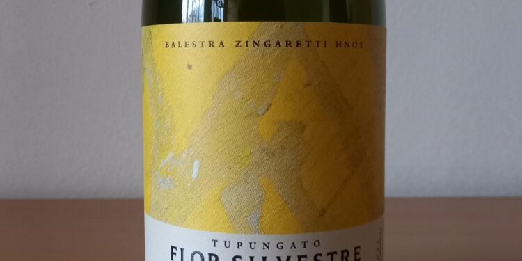 Flor Silvestre Tiempo Infinito Chardonnay 2021: frescura y elegancia desde Tupungato