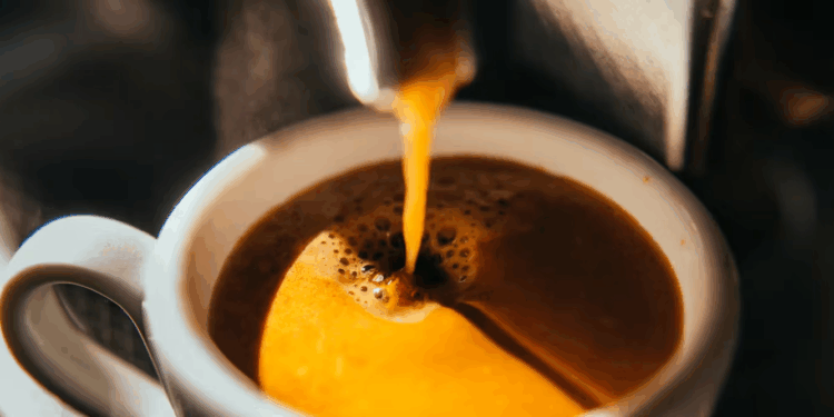 Cómo la ley europea de deforestación podría cambiar el comercio mundial del café