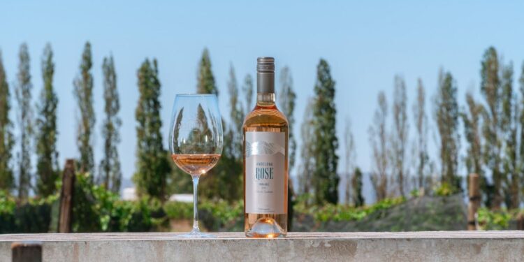 La Primavera se viste de Rosado de Montaña Andeluna Edición Limitada Rosé – Malbec 2025 