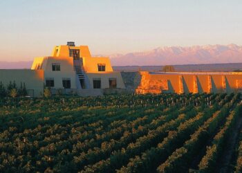 El futuro del vino: entre la experiencia, la calidad y la ilusión del lujo «No todos somos Alejandro Vigil»