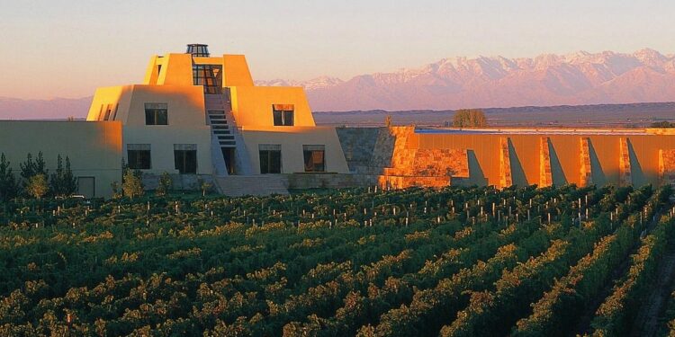 El futuro del vino: entre la experiencia, la calidad y la ilusión del lujo «No todos somos Alejandro Vigil»