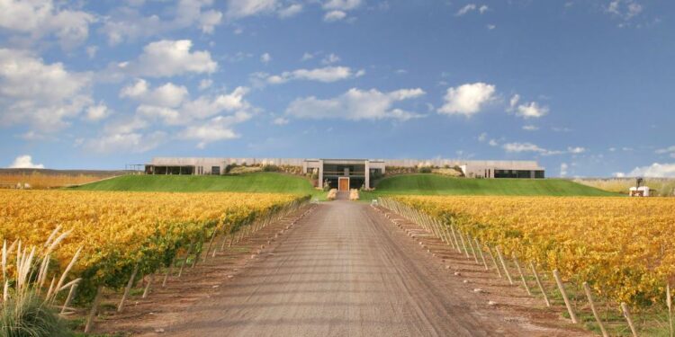Intemperie Malbec Orgánico, de Bodega Malma: la expresión más pura de la Patagonia