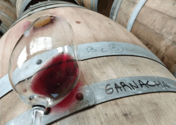 Garnacha: la uva más famosa del Mediterráneo asciende en Argentina