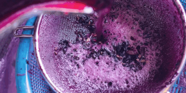 Crisis del vino en Mendoza: el sector apuesta a la exportación y rechaza la intervención estatal