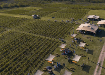 El vino bajo las estrellas: llega la 5ª edición del Encuentro Federal de Vinos en Bodega Gamboa