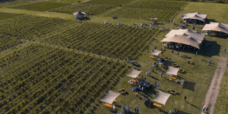 El vino bajo las estrellas: llega la 5ª edición del Encuentro Federal de Vinos en Bodega Gamboa