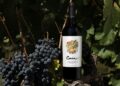 Vino Argentino: una expresión de nuestra Madre Tierra Gaia Cabernet Franc Orgánico & Biodinámico 2022 