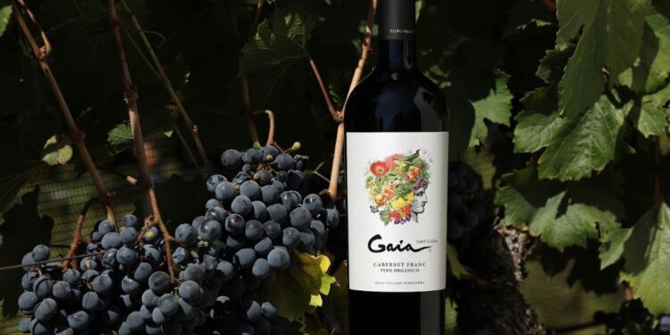 Vino Argentino: una expresión de nuestra Madre Tierra Gaia Cabernet Franc Orgánico & Biodinámico 2022