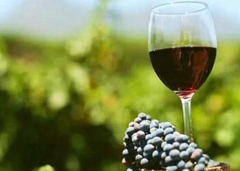 Día del Vino Argentino: Bebida Nacional