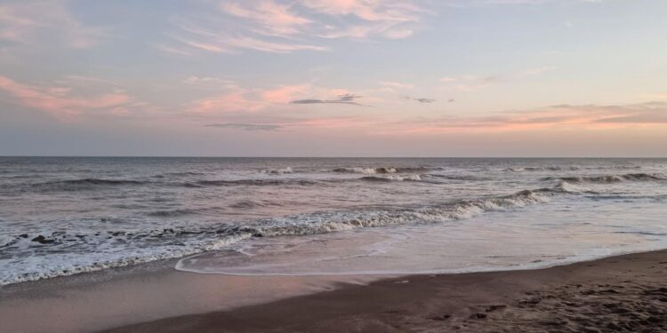 Pinamar se reinventa: mar, bosque y un viñedo boutique crean la nueva experiencia de lujo en la Costa Atlántica