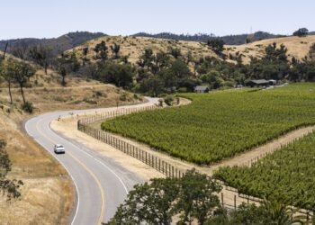 El enoturismo representa actualmente una cuarta parte de los ingresos mundiales de las bodegas