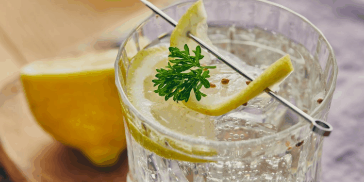 Las bebidas sin alcohol no pueden llamarse ginebra, dictamina el tribunal de la UE.