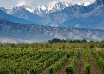 Argentina, el país de los mil climas: nuevas fronteras del vino en el fin del mundo