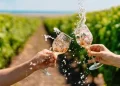 Vivir entre viñedos: el nuevo lujo del hombre moderno