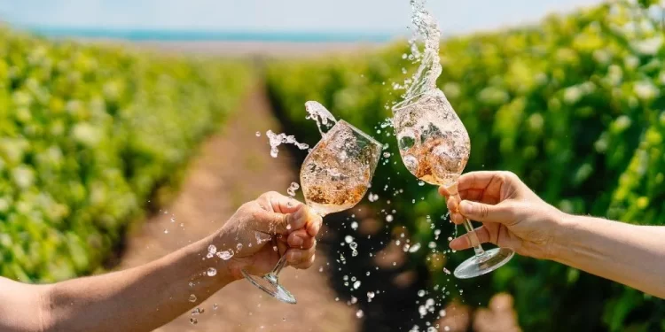 Vivir entre viñedos: el nuevo lujo del hombre moderno