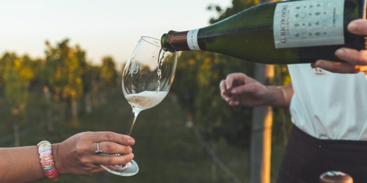 En defensa de las burbujas: los vinos que deberíamos beber todo el año, no sólo esta semana para celebrar