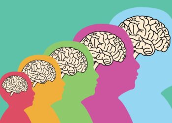 Las cinco edades del cerebro: un mapa inesperado del desarrollo humano